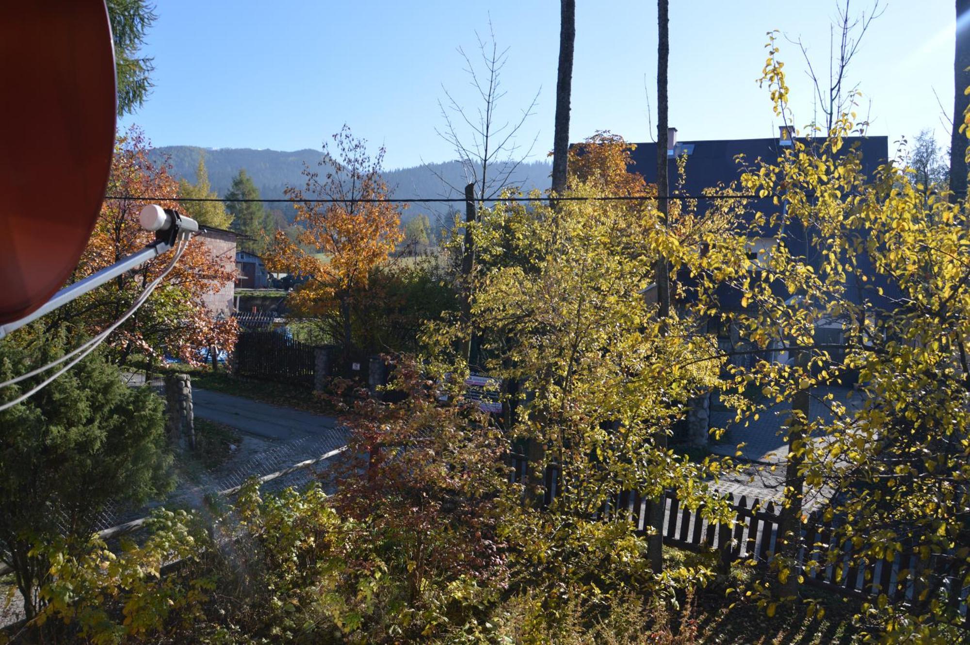Msc Apartments Honeymoon Zakopane Rom bilde