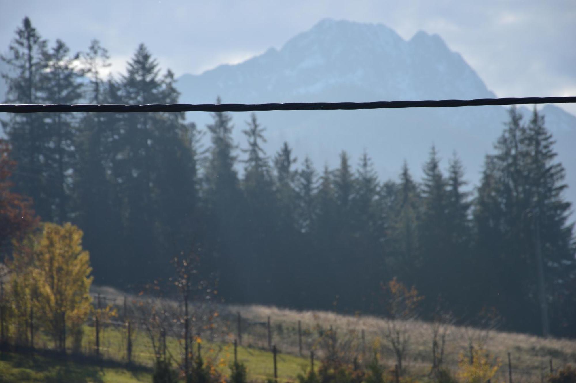 Msc Apartments Honeymoon Zakopane Rom bilde