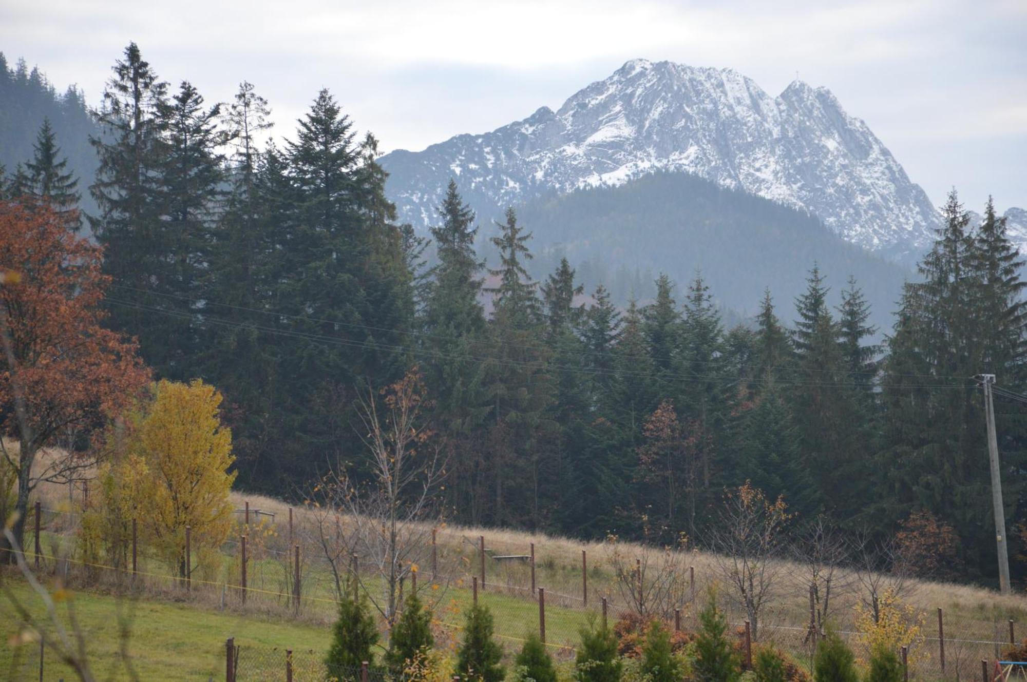 Msc Apartments Honeymoon Zakopane Rom bilde