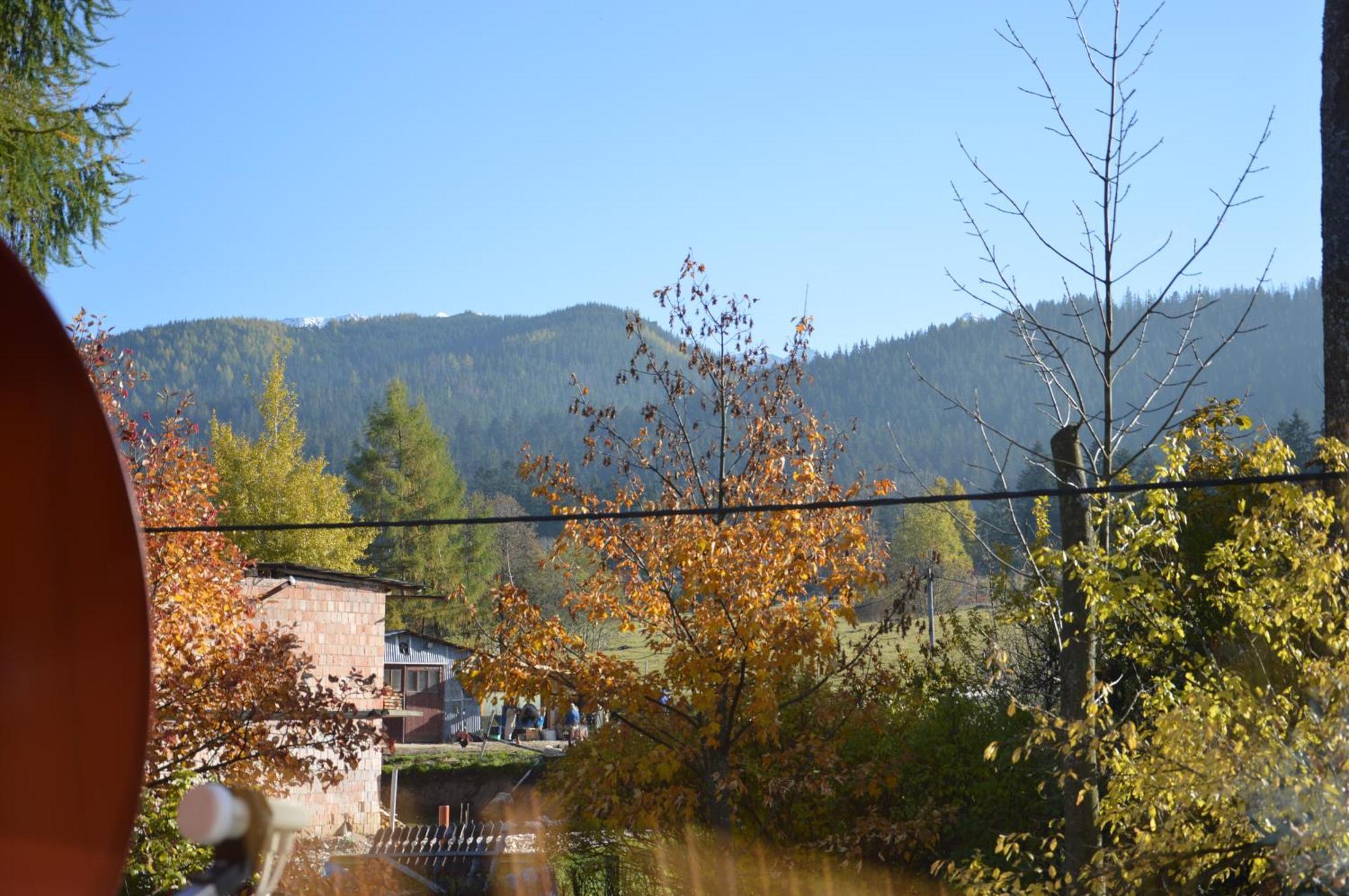 Msc Apartments Honeymoon Zakopane Rom bilde