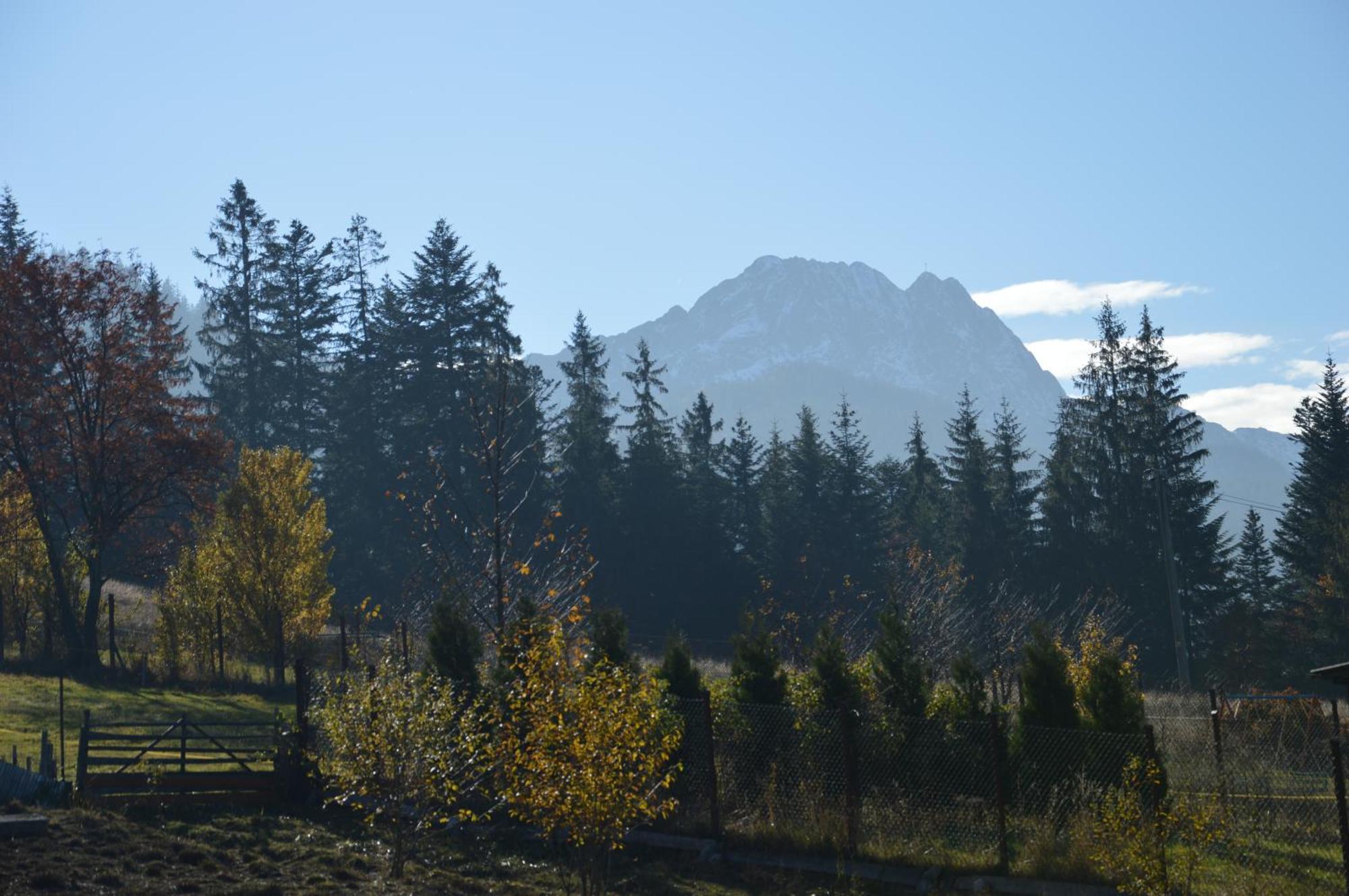 Msc Apartments Honeymoon Zakopane Rom bilde