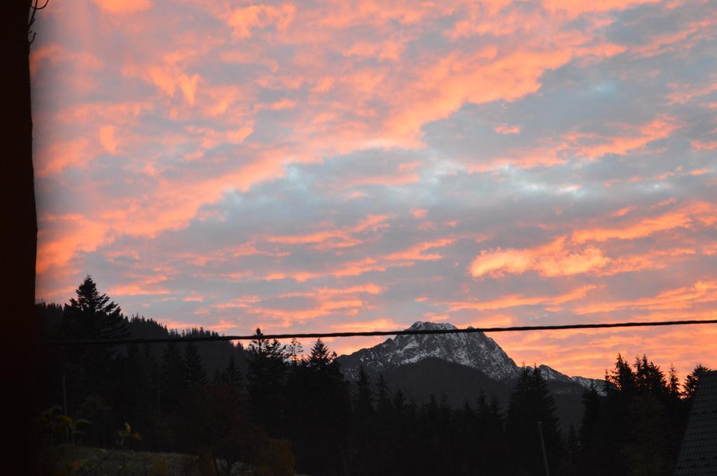 Msc Apartments Honeymoon Zakopane Eksteriør bilde