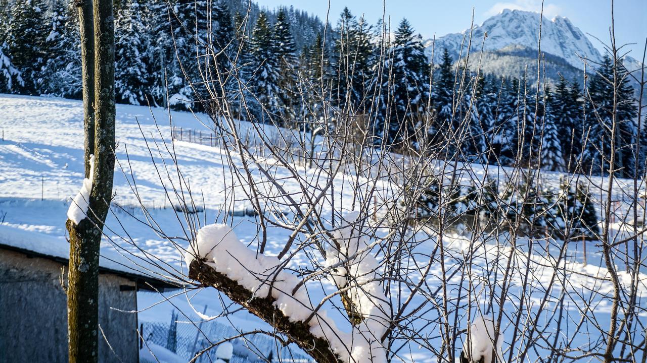 Msc Apartments Honeymoon Zakopane Eksteriør bilde