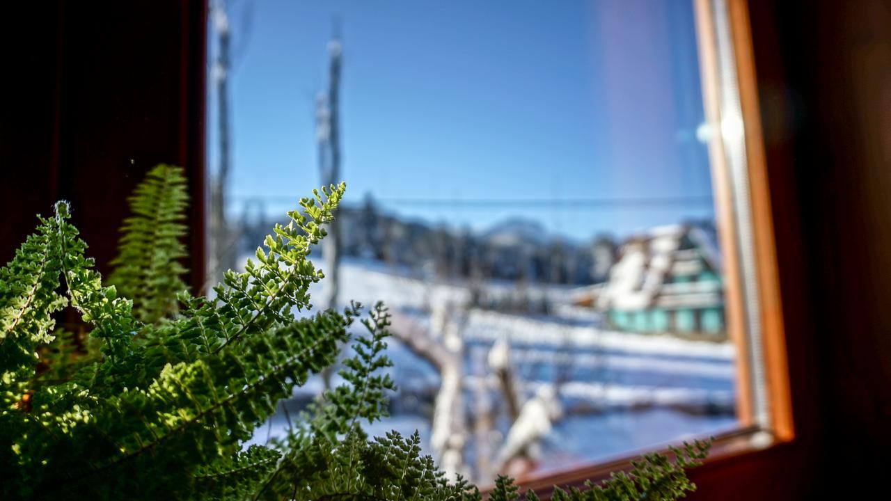 Msc Apartments Honeymoon Zakopane Eksteriør bilde