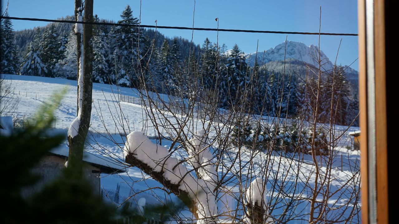 Msc Apartments Honeymoon Zakopane Eksteriør bilde