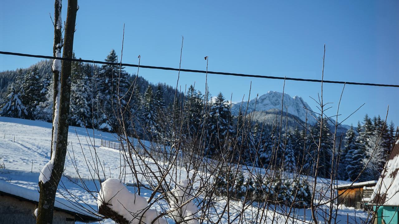 Msc Apartments Honeymoon Zakopane Eksteriør bilde
