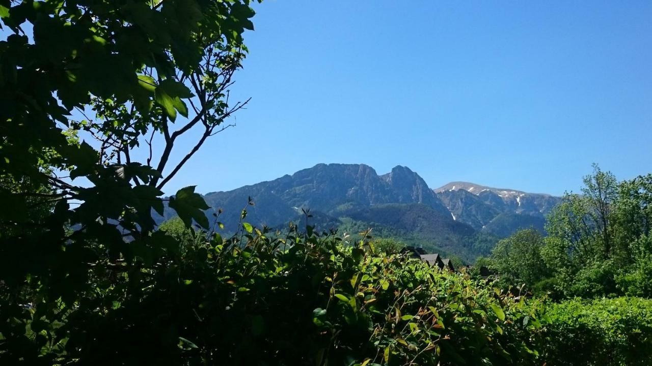 Msc Apartments Honeymoon Zakopane Eksteriør bilde